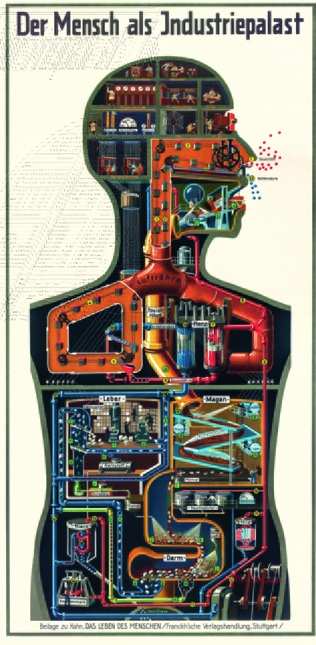 The Amazing Anatomical Diagrams Of Fritz Kahn, Pioneer Of Infographics