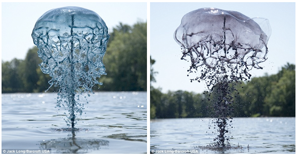 The Secrets Behind Beautiful Split-Second Photos Of Liquid In Motion