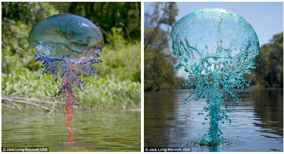 The Secrets Behind Beautiful Split-Second Photos Of Liquid In Motion