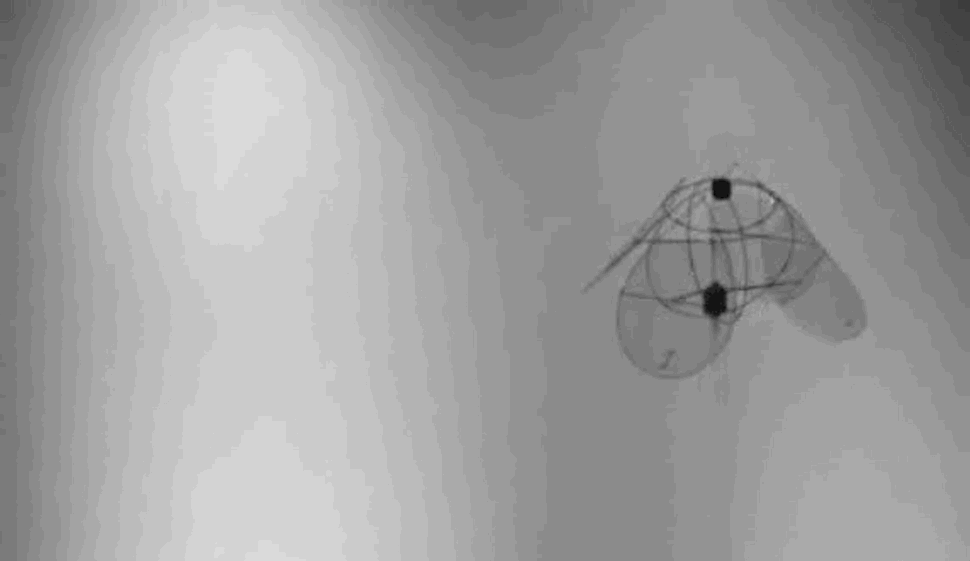Scientists Create Winged-Jellyfish Drone… And It’s Beautiful