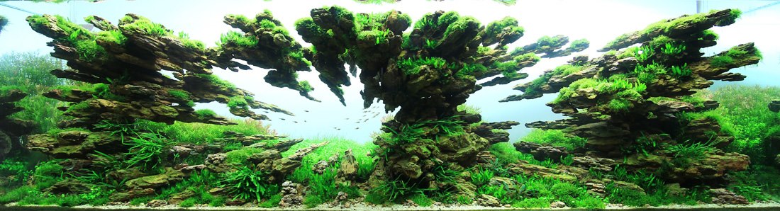 These Beautiful Natural Landscapes Are Actually Aquariums