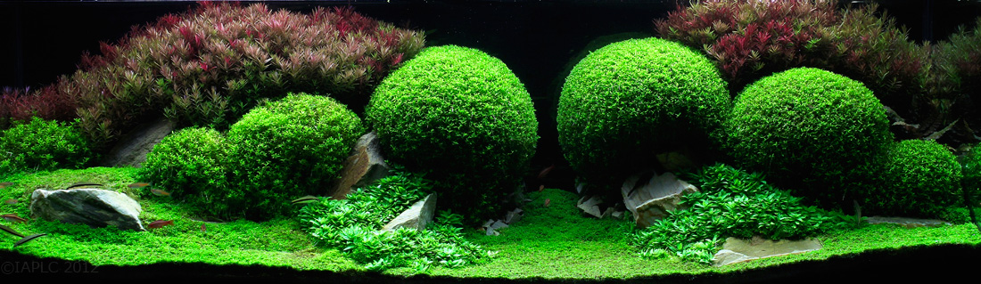These Beautiful Natural Landscapes Are Actually Aquariums