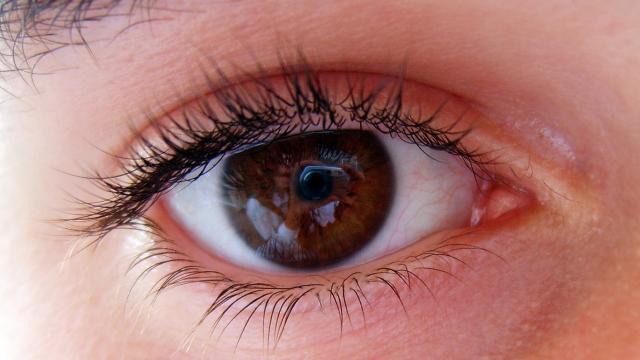 Scientists Use Gene Therapy To Stop Six People Going Blind