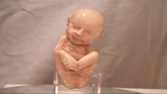 You Can Now Buy A Life-Size, 3D-Printed Replica Of Your Unborn Foetus