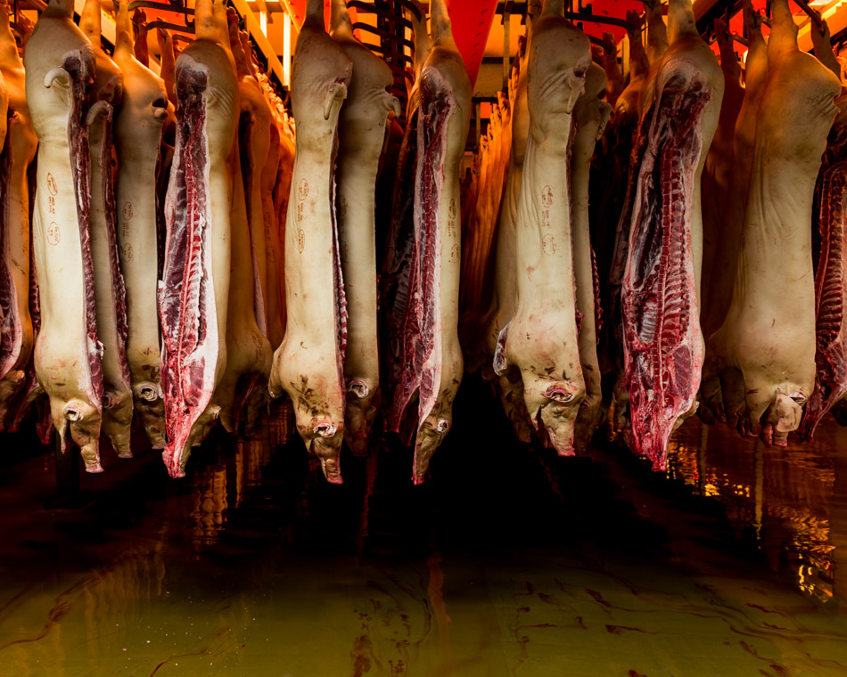 Take A Visual Tour Of The World’s Most Modern Slaughterhouse