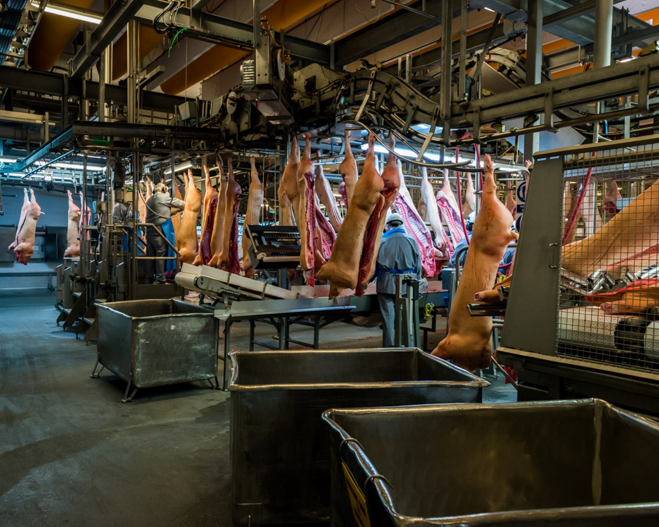 Take A Visual Tour Of The World’s Most Modern Slaughterhouse
