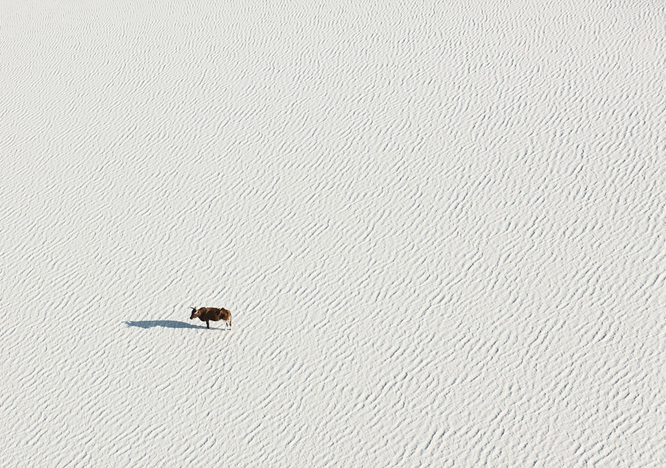 Fantastic Aerial Photos Of Botswana Make Me Wish I Was There Right Now