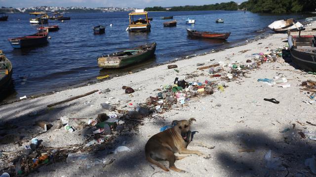 Shocking Photos From The Water Sports Site Of The Rio Olympics