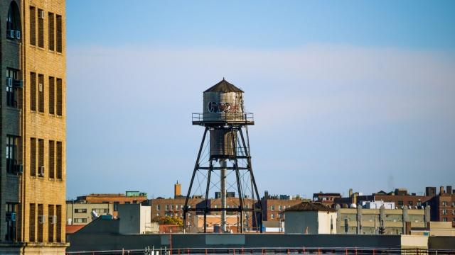 New York City’s Charming Water Towers Are Actually Bacteria-Filled Horrorshows