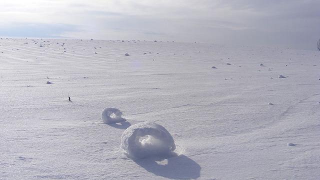 These Bizarre Snow Rolls Were Actually Created By The Wind