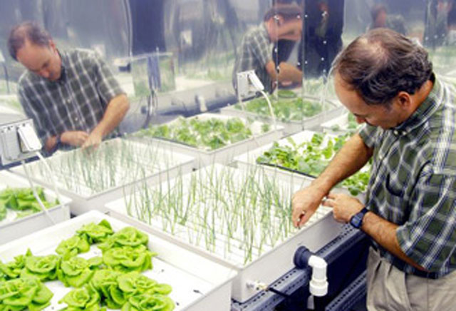 Spam, Silkworms, Hydroponics: The Speculative Future Of Food On Mars
