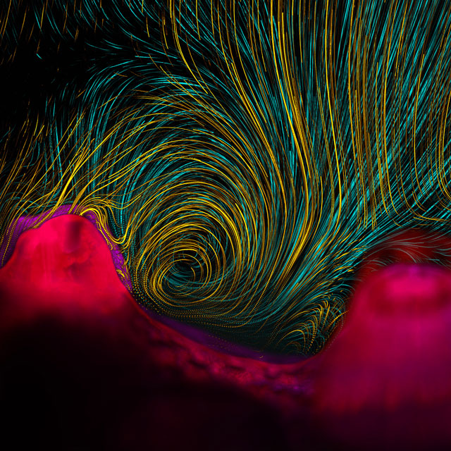 The Best Science Visualisations Of The Year