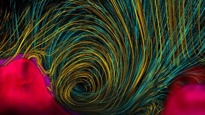The Best Science Visualisations Of The Year