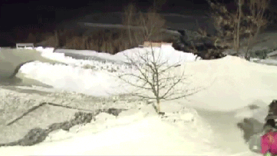 Awesome Dad Builds Giant Luge Track In His Backyard For His Family