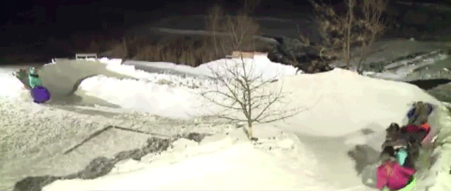 Awesome Dad Builds Giant Luge Track In His Backyard For His Family