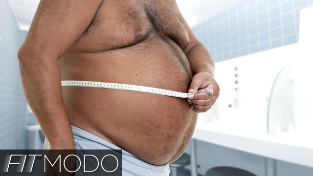 Fitmodo: The Science Of Fat