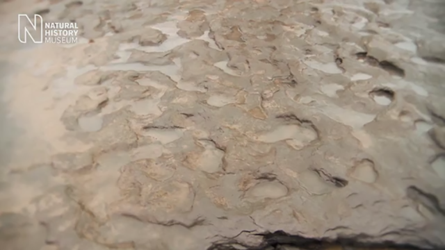 3D Scanning Saved These Ancient Footprints Just Before They Washed Away