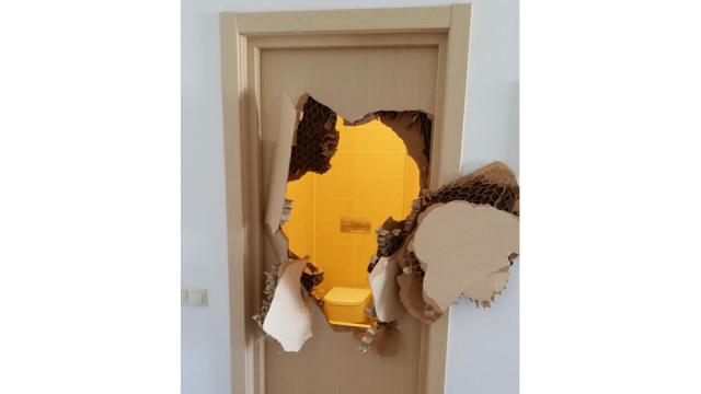 US Bobsledder Busts Through A Door To Escape His Sochi Bathroom