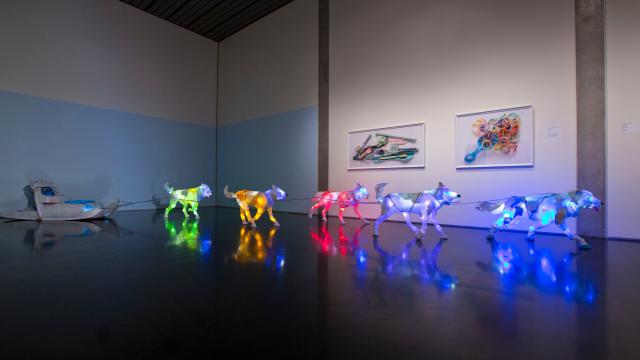 These Glowing Dogs Are Made From Trash Pulled From The Ocean