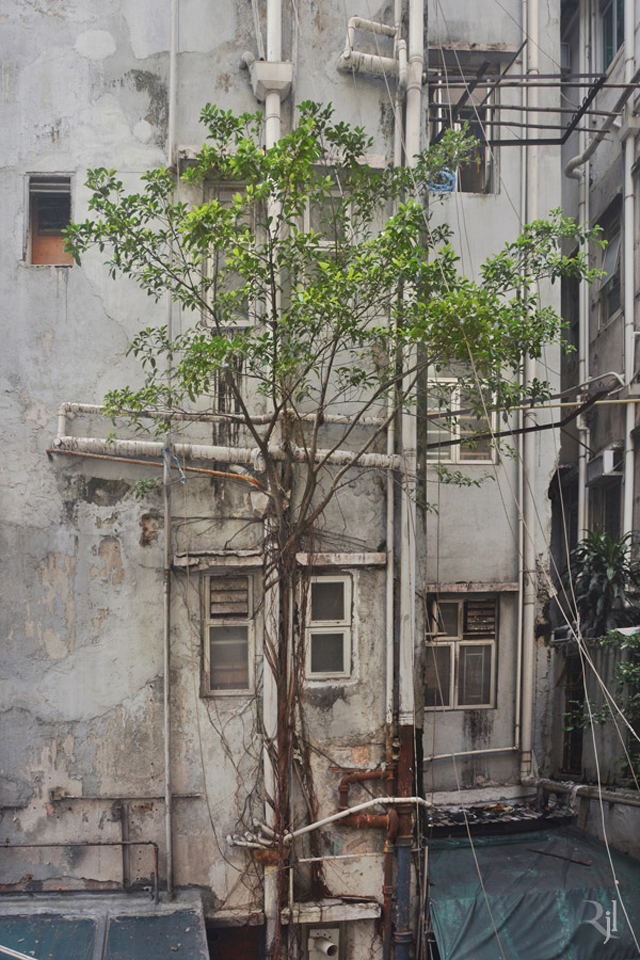These Post-Apocalypse Images Of Hong Kong Are Actually Real Photos