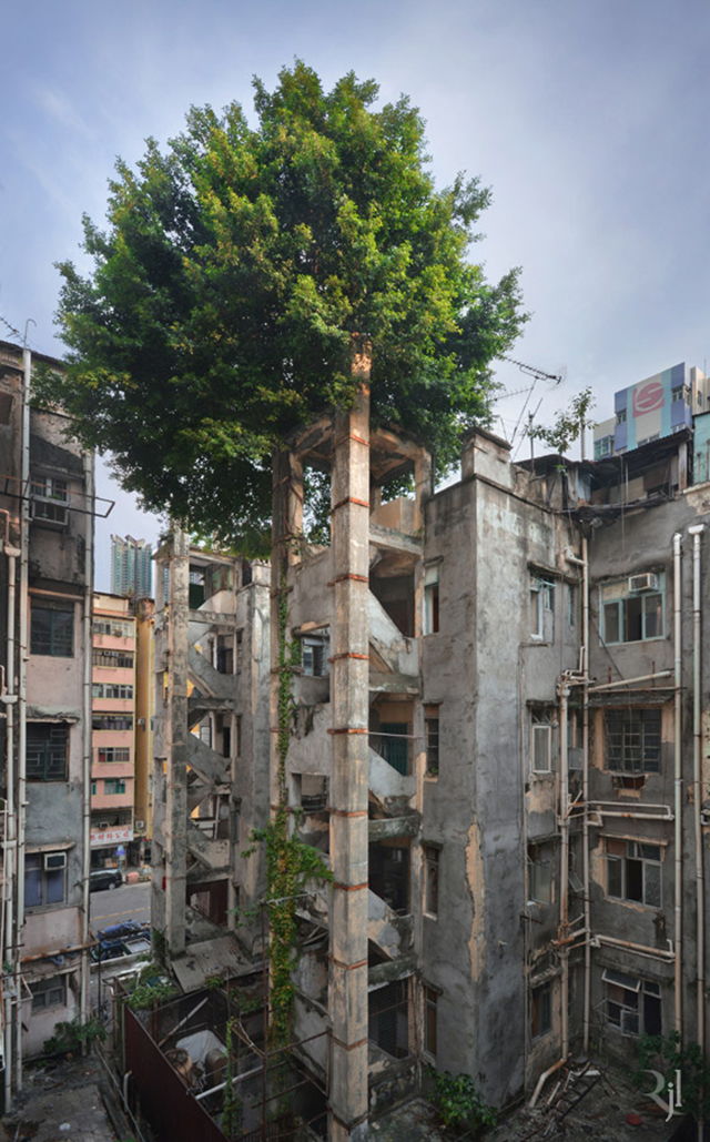 These Post-Apocalypse Images Of Hong Kong Are Actually Real Photos