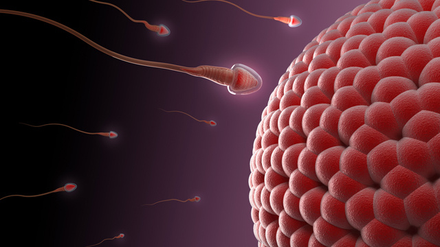 Your Sperm Are Ticking, Mutating Time Bombs