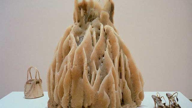 An Artist And Her Bees Create Beautiful Honeycomb-Draped Sculptures