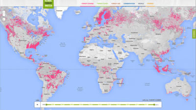 New Maps Show Trees Disappearing In Real Time