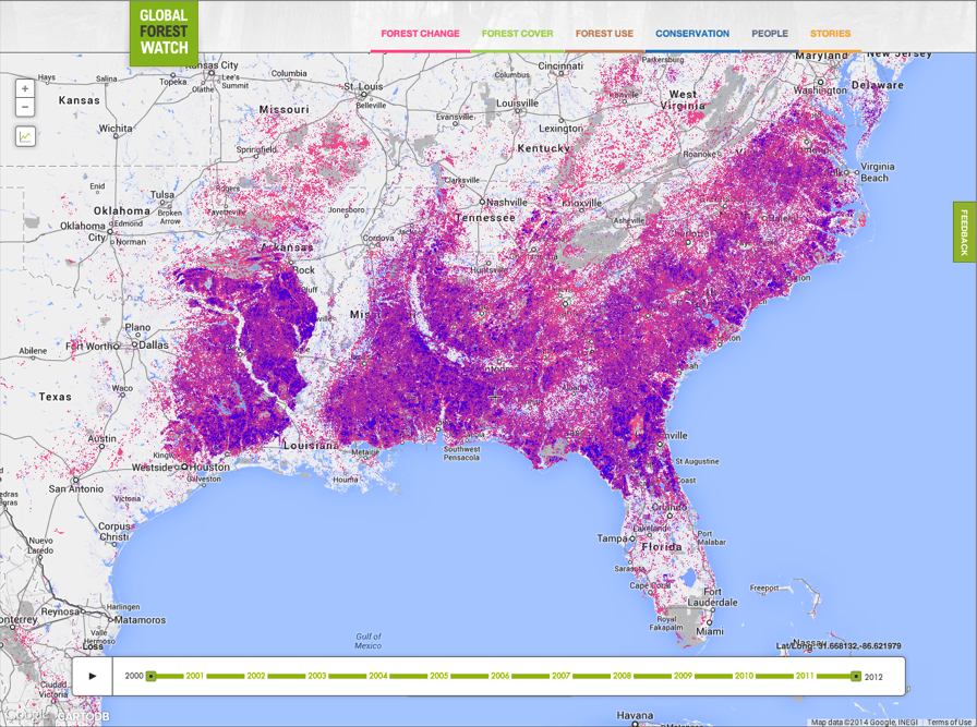 New Maps Show Trees Disappearing In Real Time