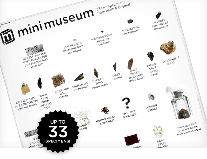 A Tiny Desktop Museum With Dinosaur Eggs, Moon Rocks And Titanic Coal