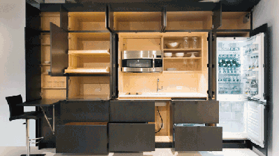 These Cabinets Hide An Incredible Stealth Kitchen