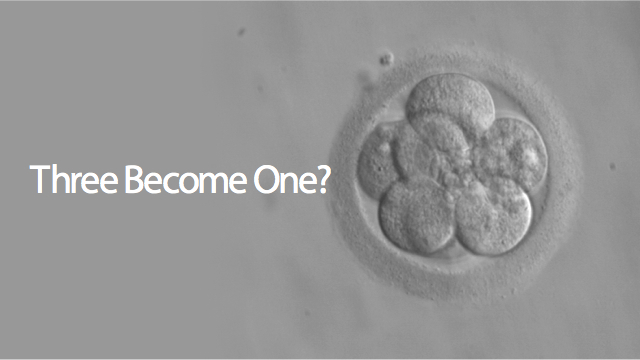 US Authorities Consider Creating Three-Person Embryos