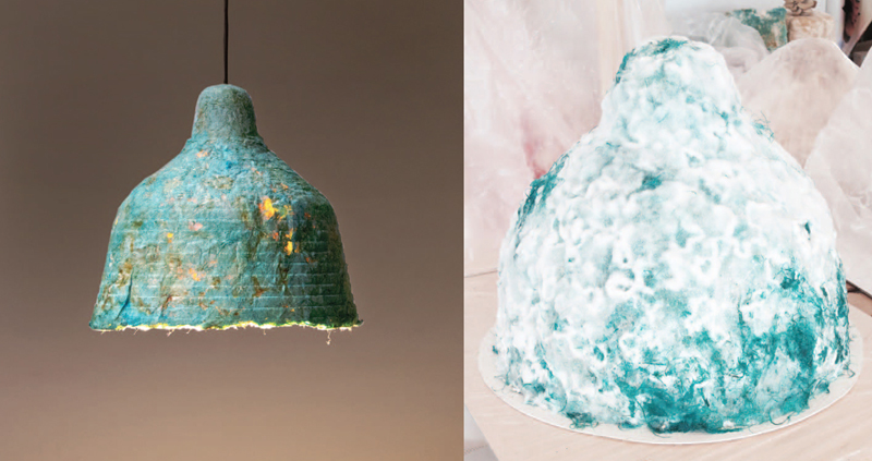 Eat Mushrooms That Grow Off The Top Of This Living Lampshade