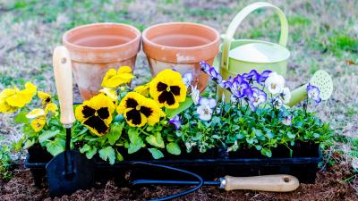 How To Get Your Garden Ready For Spring Planting