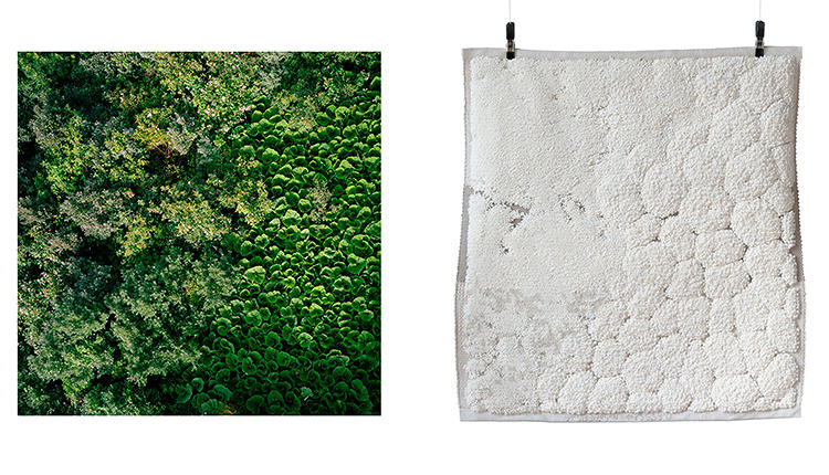 Turn Google Earth Images Into All-Terrain Area Rugs