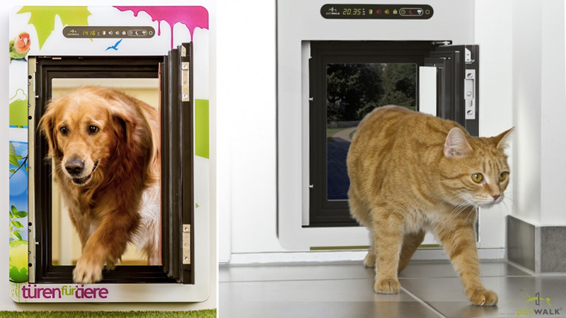 Rain-Detecting Automatic Pet Door Keeps Your Dog Or Cat Inside And Dry