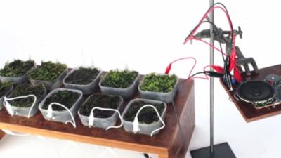 Moss-Covered Table Uses Photosynthesis To Power An FM Radio