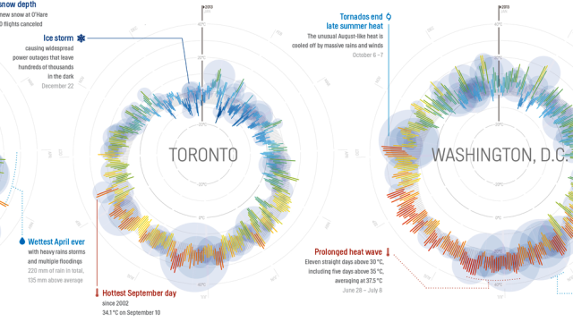 365 Days Of Weather In 35 Cities, All In A Single Beautiful Image