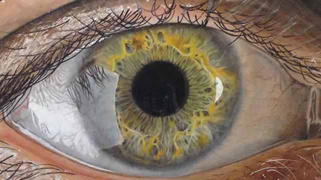 These Incredible Close-up Photos Of Eyes Are Actually Pencil Drawings