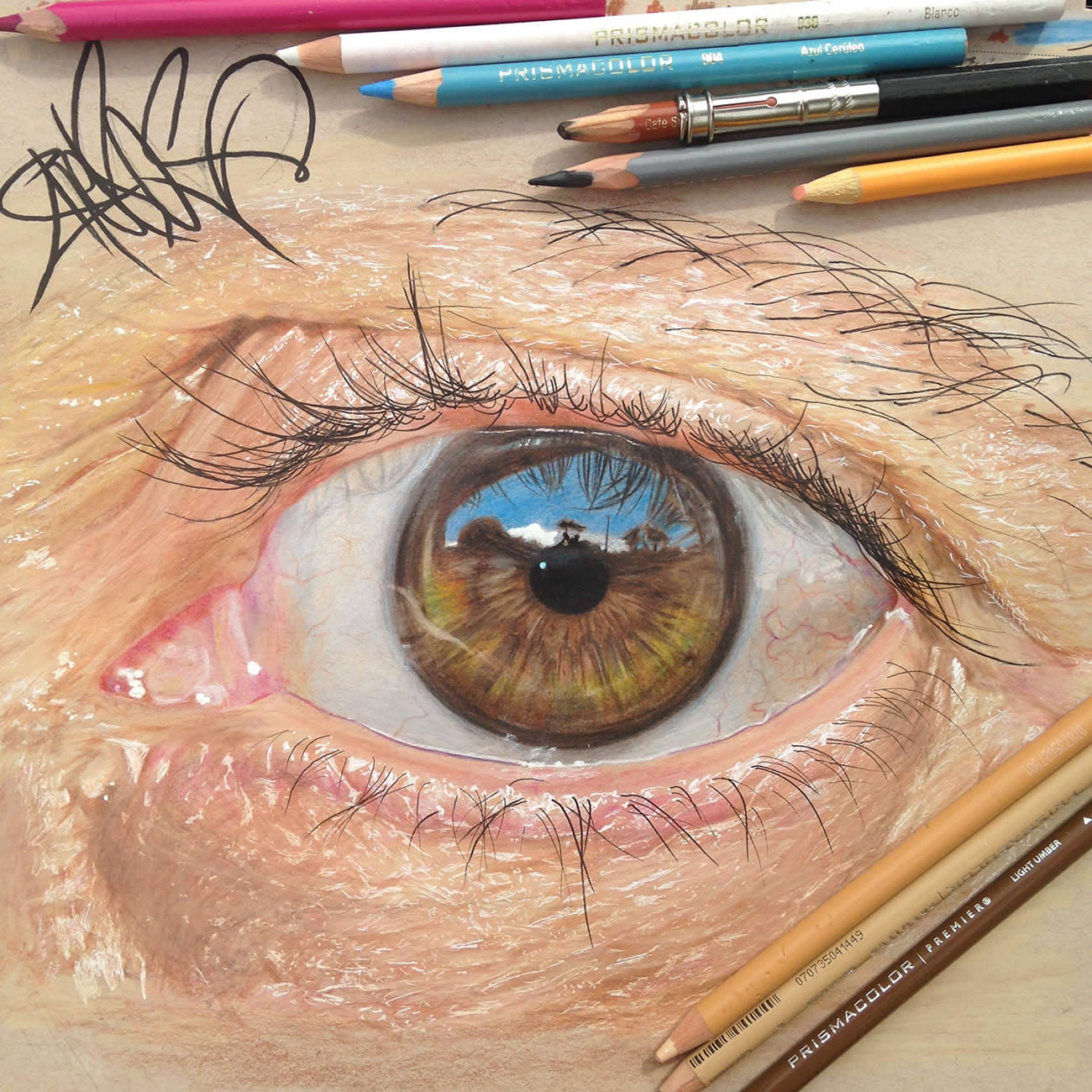 These Incredible Close-up Photos Of Eyes Are Actually Pencil Drawings