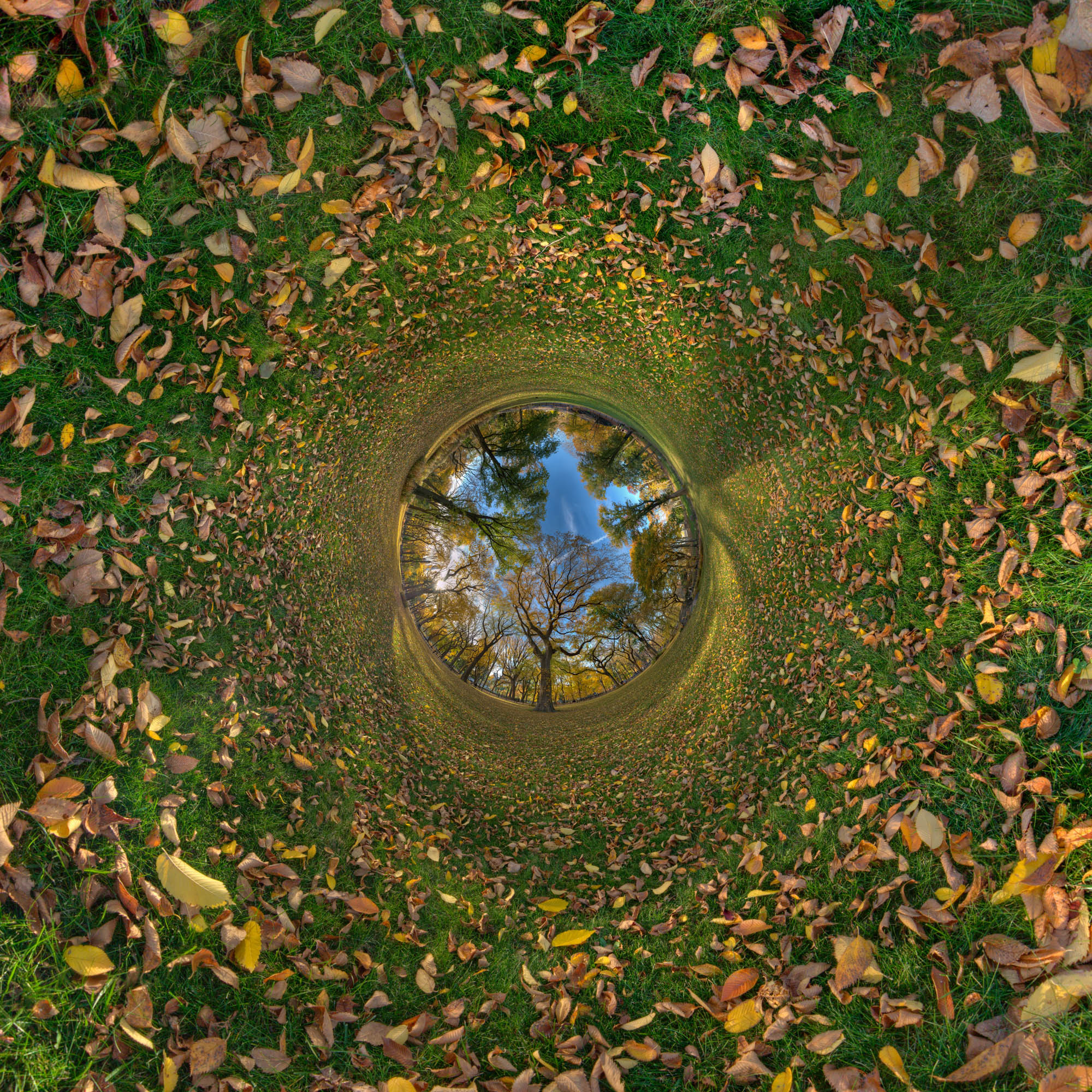 Photo Wizard Warps Reality, Invokes Interdimensional Wormholes On Earth