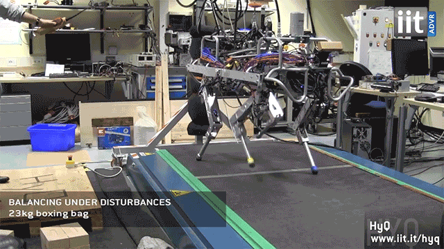 The Robots Of Tomorrow Aren’t So Scary When They’re Getting Beat Up