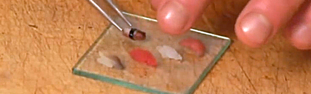 Sushi Chef Makes Miniature Sushi With A Single Grain Of Rice