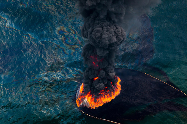 Strikingly Beautiful Pictures Show The Horrors Of The BP Oil Spill