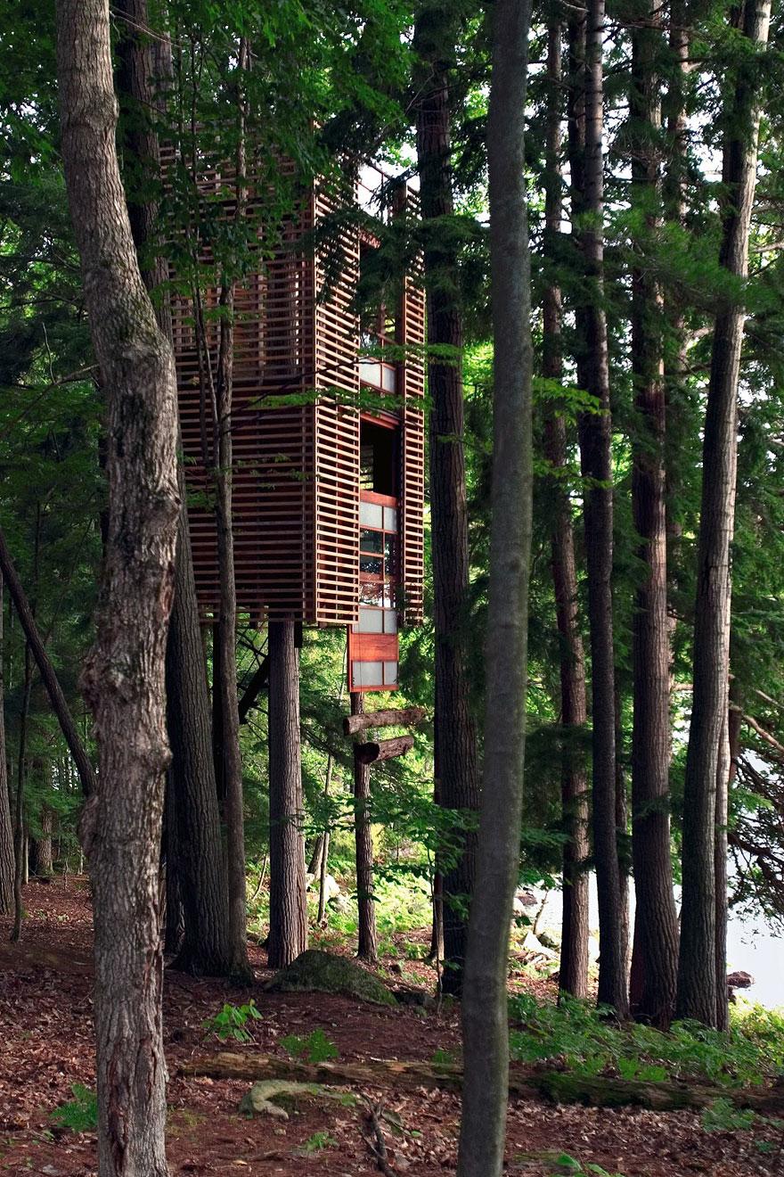 8 Buildings Designed To Incorporate The Trees Around Them