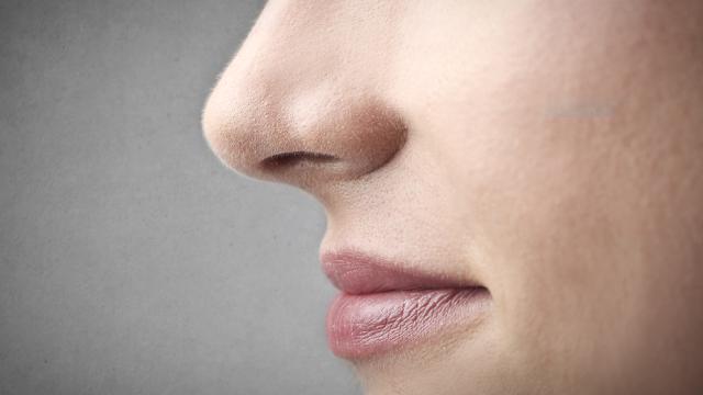 Your Nose Is A Super-Machine That Can Detect Over A Trillion Scents