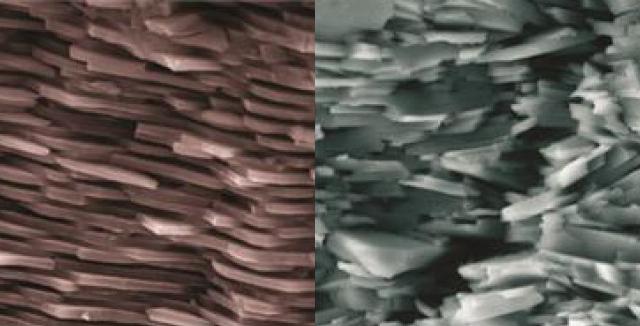 This Synthetic Mother Of Pearl Is Ten Times Tougher Than Ceramics