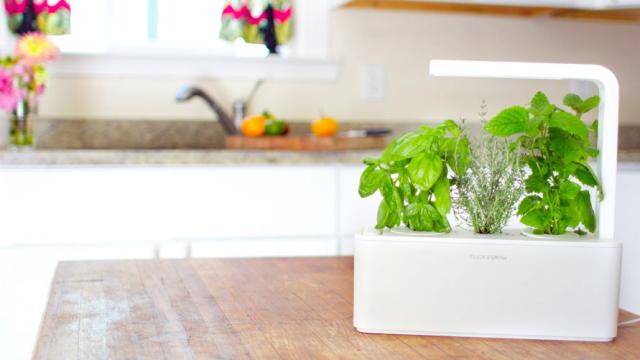 The New Click & Grow Herb Garden Does Everything But Harvest Itself