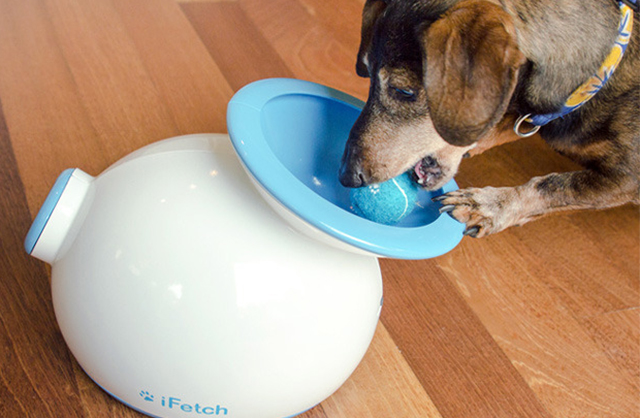 If You Have A Dog, You Can’t Miss This Gadget Guide