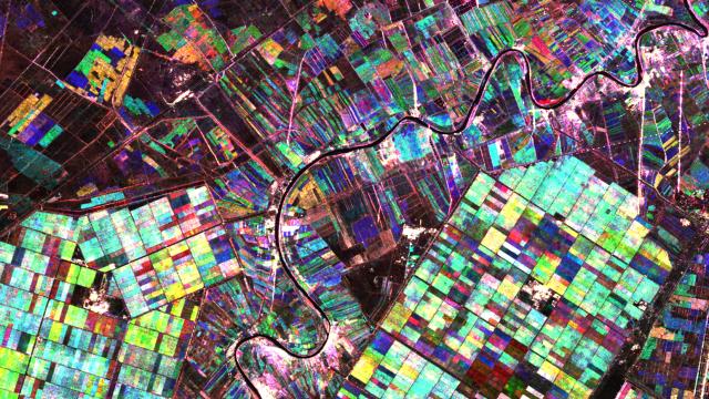 Beautiful Fields Of Crops As You’ve Never Seen Them Before